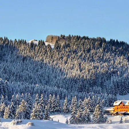 Hotel Da Barba B&B 3* Asiago