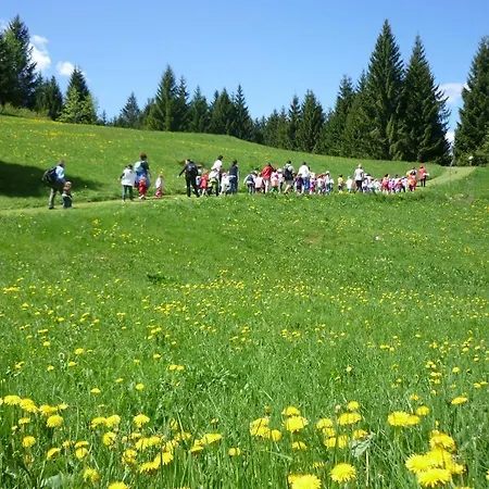 Hotel Da Barba B&B 3* Asiago